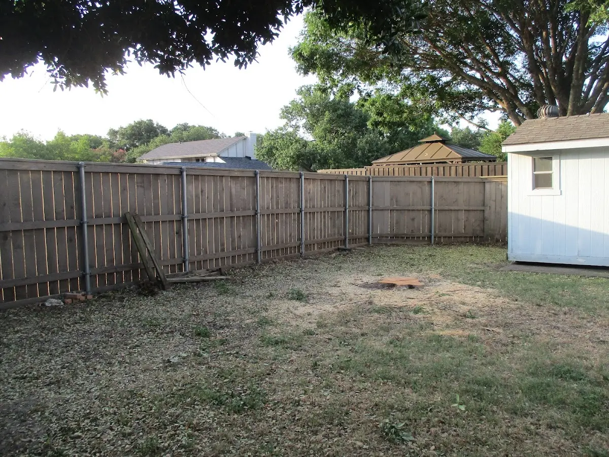 Cleared yard after professional tree removal in La Veta